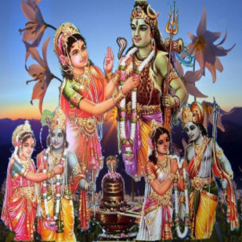 Yagya for Kaal Sarpa Dosha